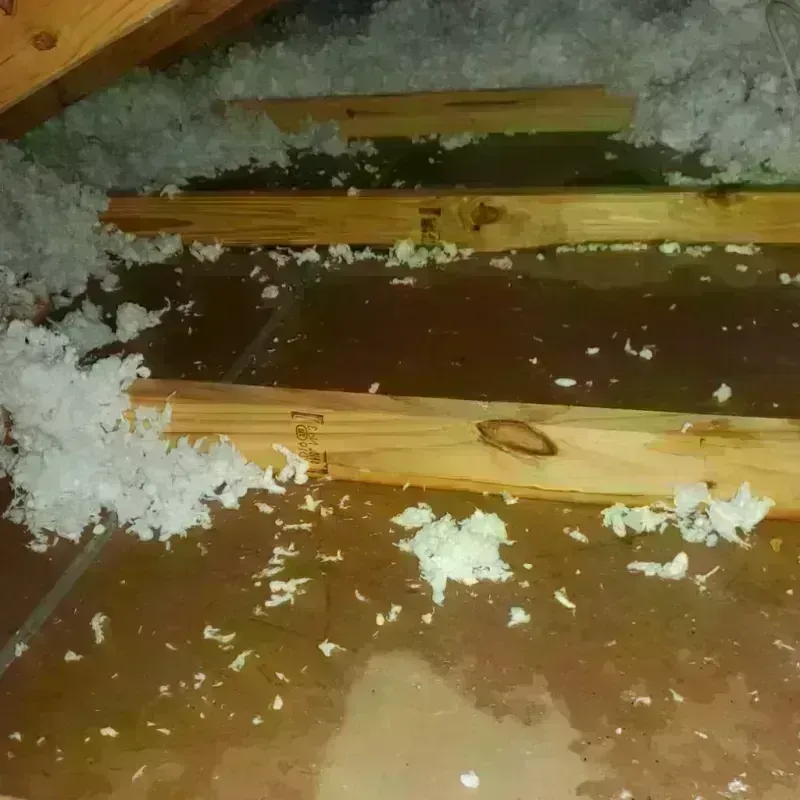 Attic Water Damage in East Palo Alto, CA