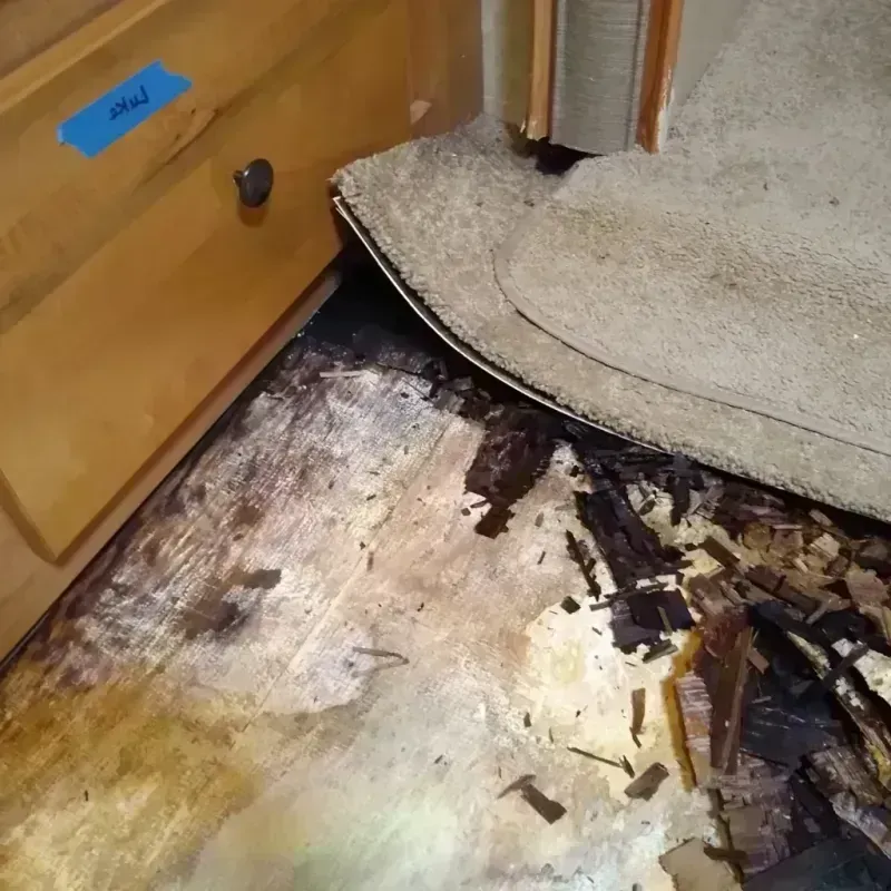 Best Wood Floor Water Damage Service in East Palo Alto, CA